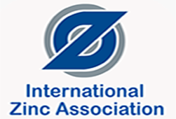 International zinc association
